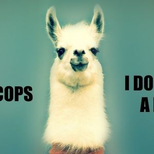 Meet your Posher, Darren